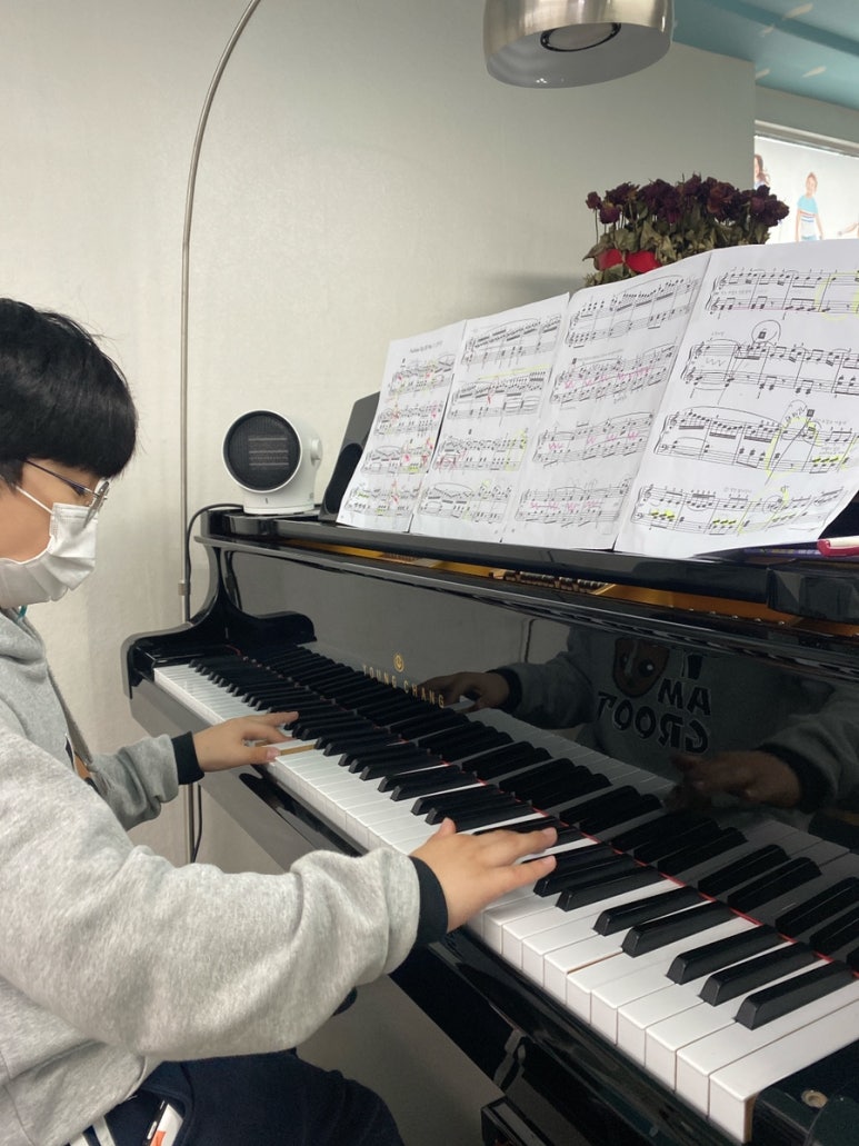 벨라뮤직아카데미음악학원 이미지