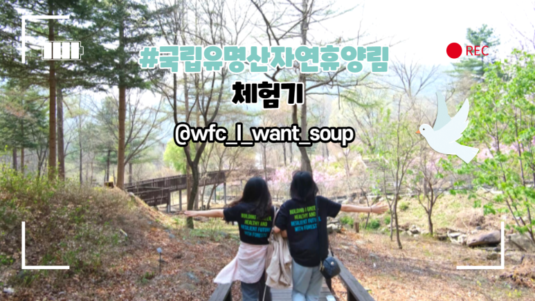 국립유명산자연휴양림 이미지