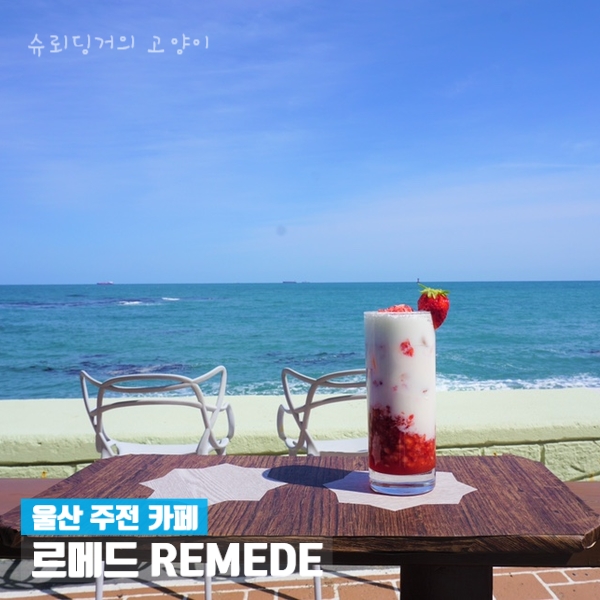 르메드(REMEDE) 이미지