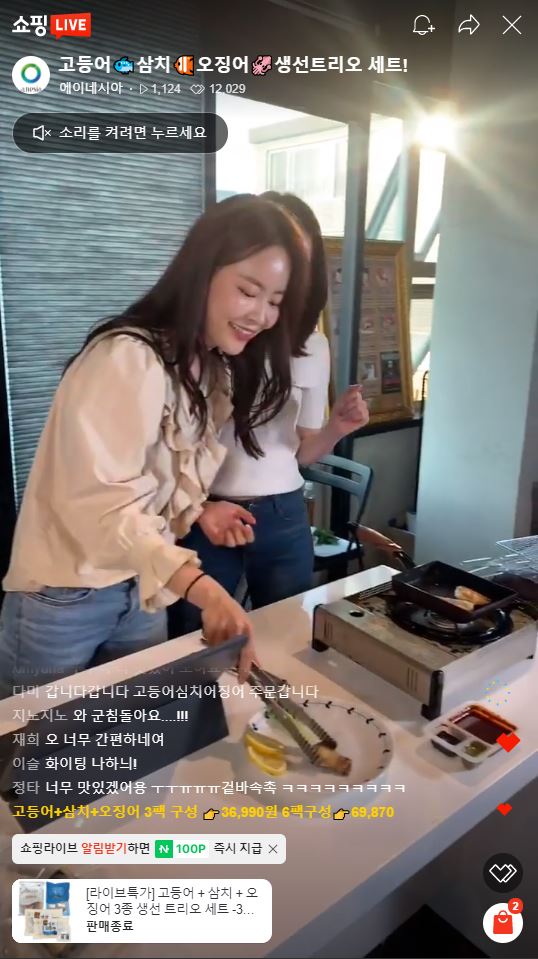 에이네시아 이미지