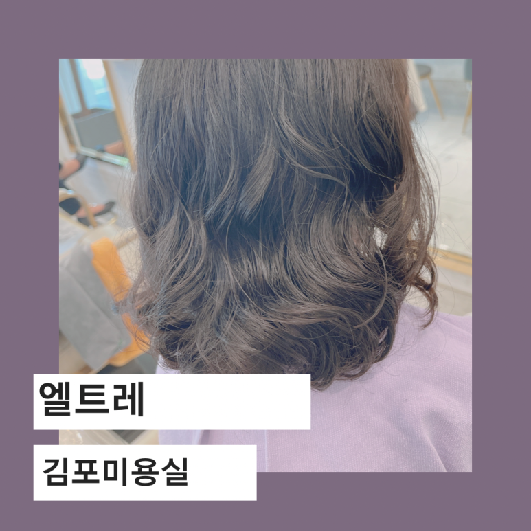 엘트레헤어 이미지
