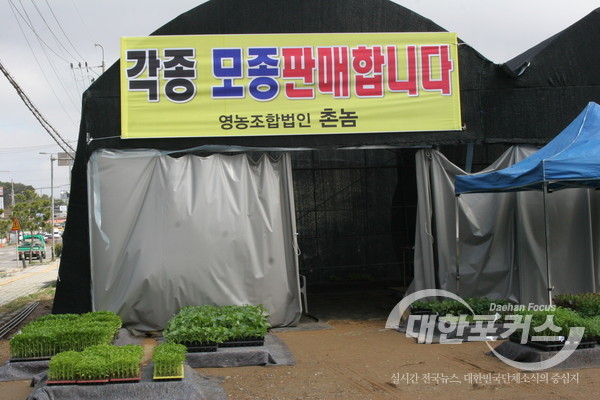 강화농산물판매장 이미지