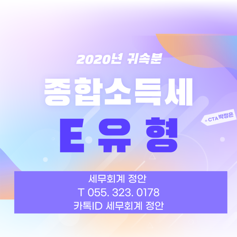 세무회계정안 이미지
