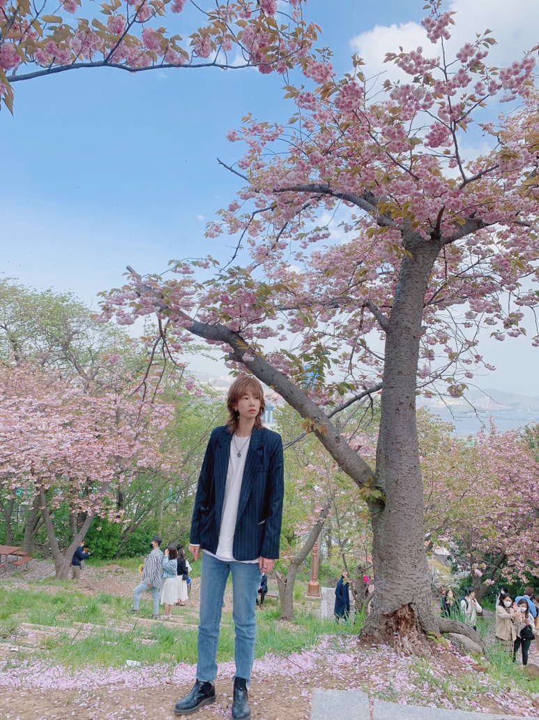 깔롱부리는집 이미지