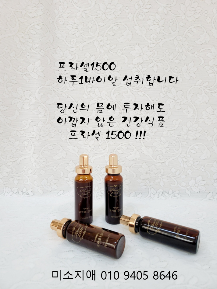 피누스스토어 일류 이미지