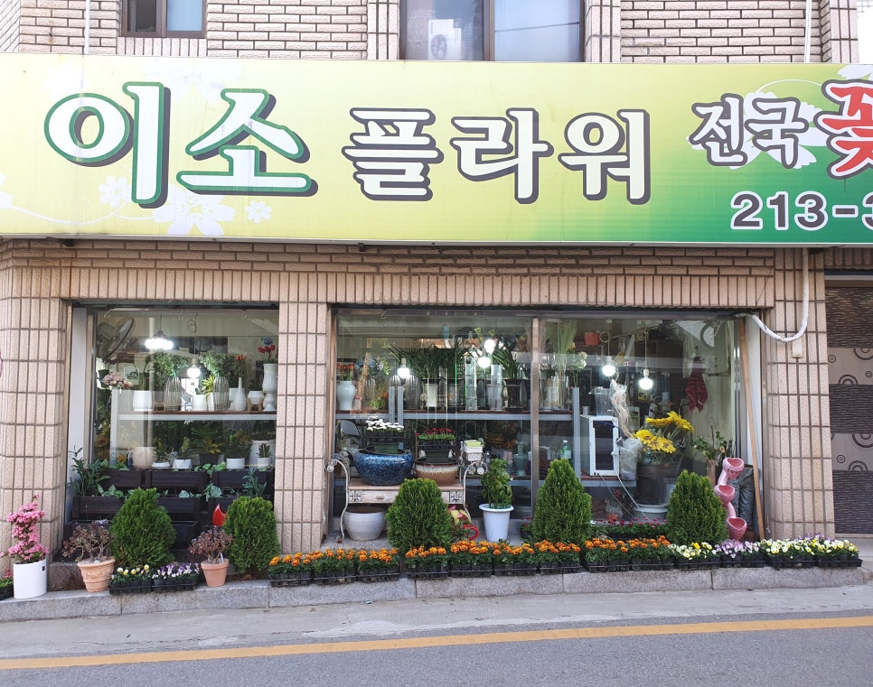 이소플라워 이미지