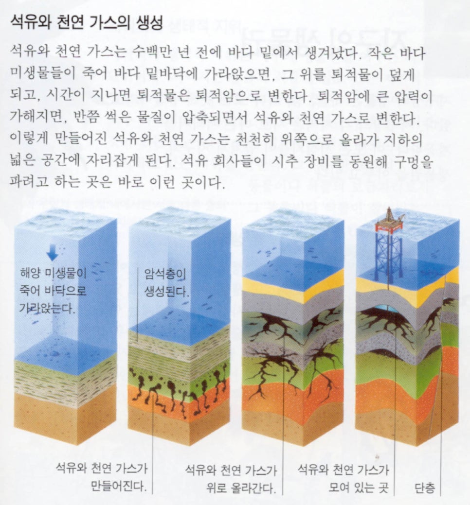 에덴석유 이미지