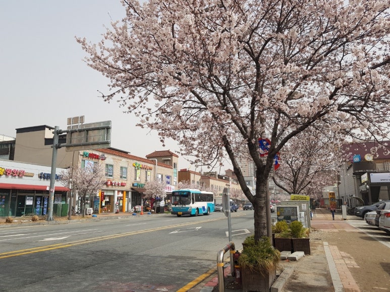 호남카센타 이미지