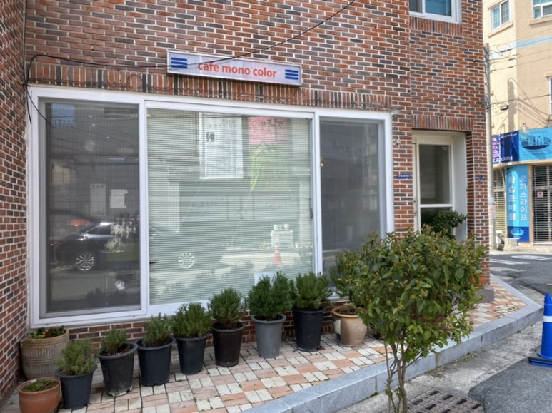 모노컬러(monocolor) 이미지