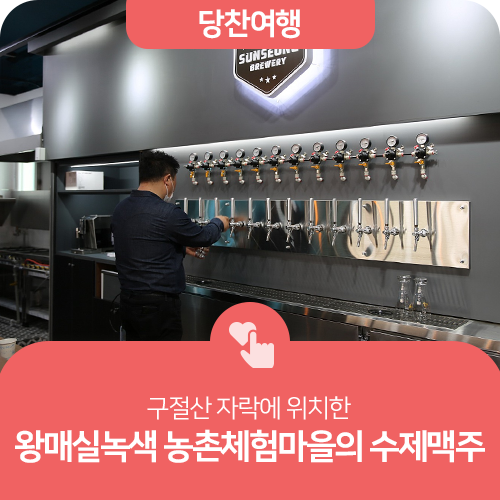 왕매실녹색농촌체험마을 이미지