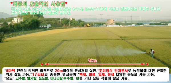 오후5시;사과밭 이미지
