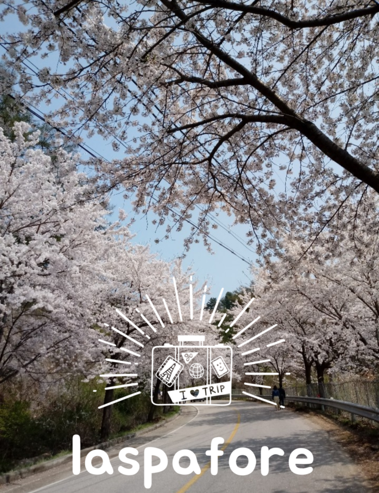 봄내에스테틱 이미지