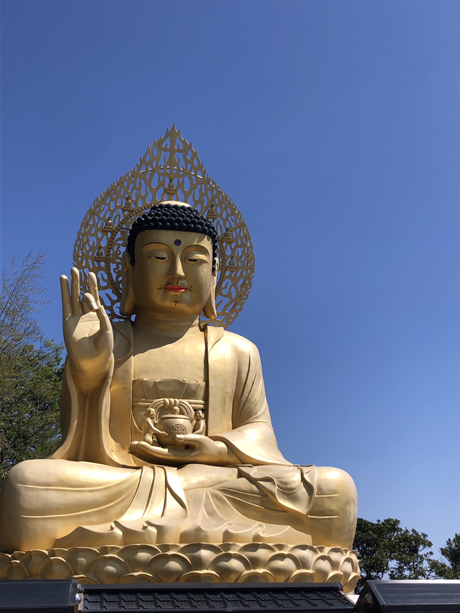 해변의돼지 이미지