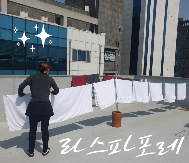 봄내에스테틱 이미지