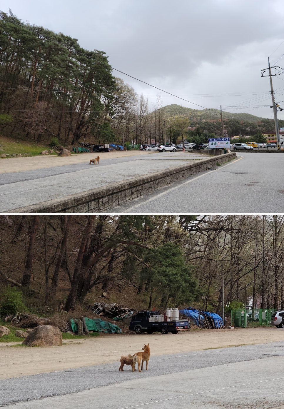 민들레펜션민박 이미지