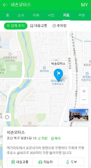 비손모터스 이미지
