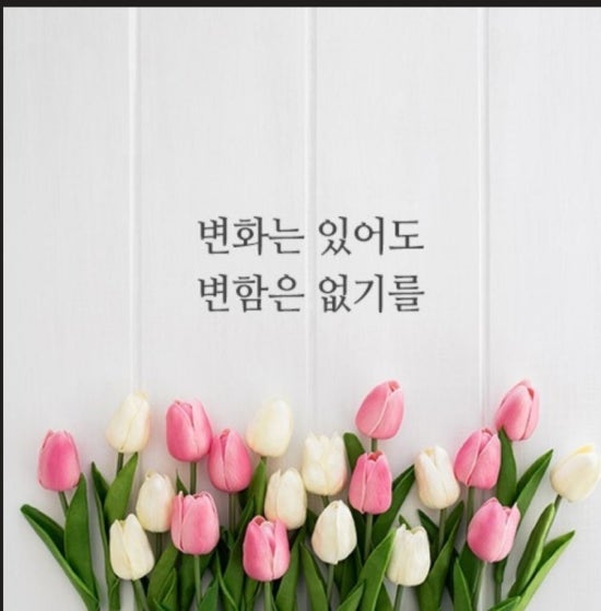 어은돌야영장 이미지