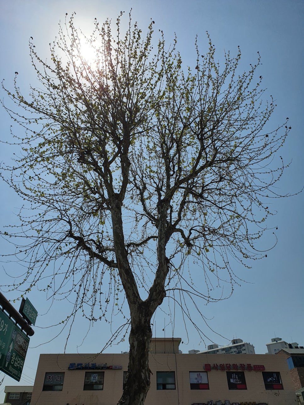 푸른봄한의원 이미지