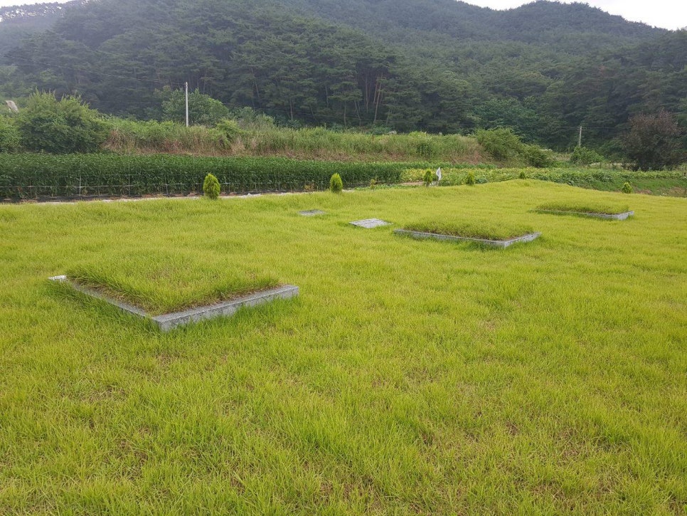 전국인력사무소 이미지