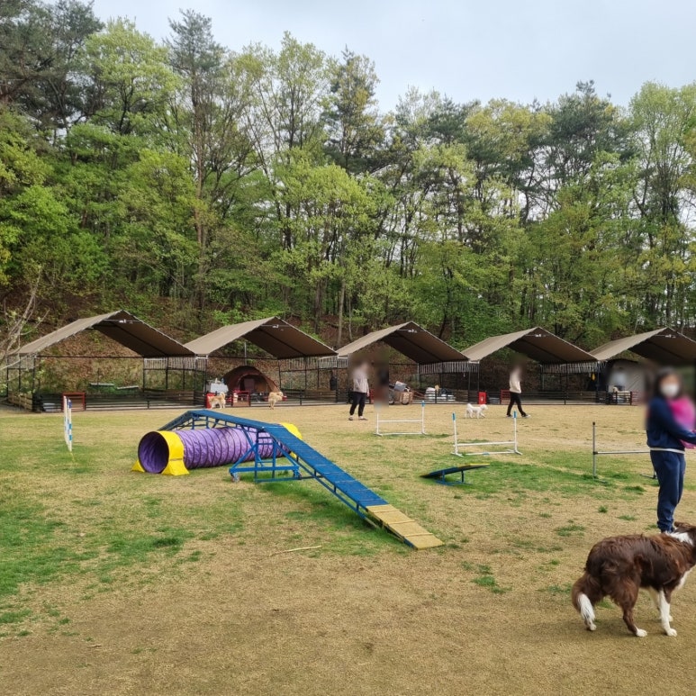 개차반캠핑장 이미지