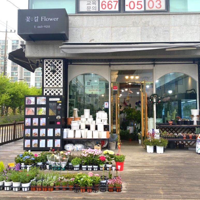 예림플라워 이미지