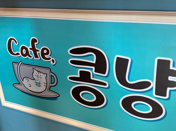 콩냥카페 이미지