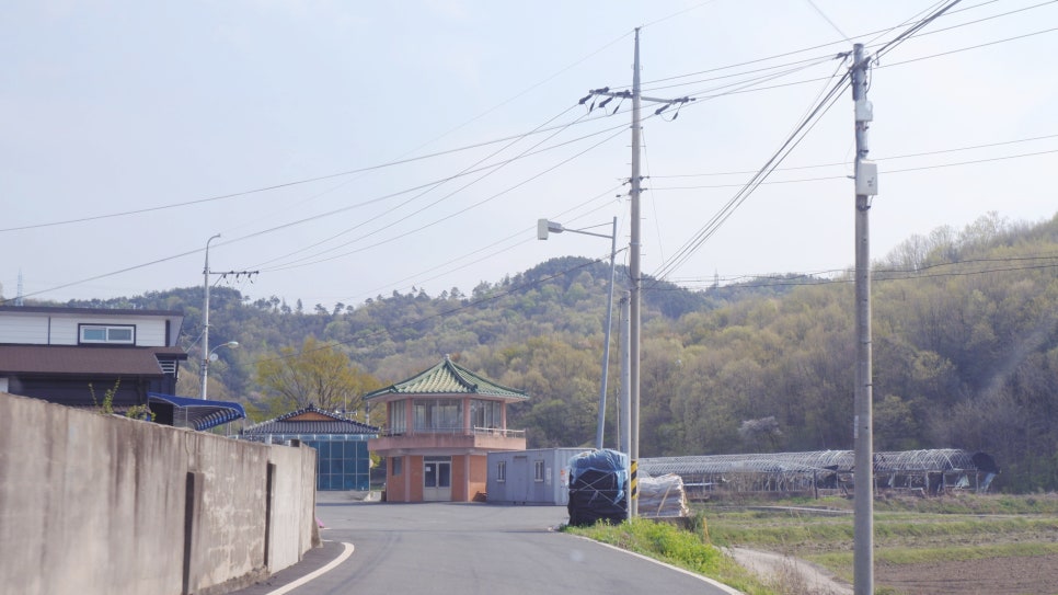 내안의숲길 이미지