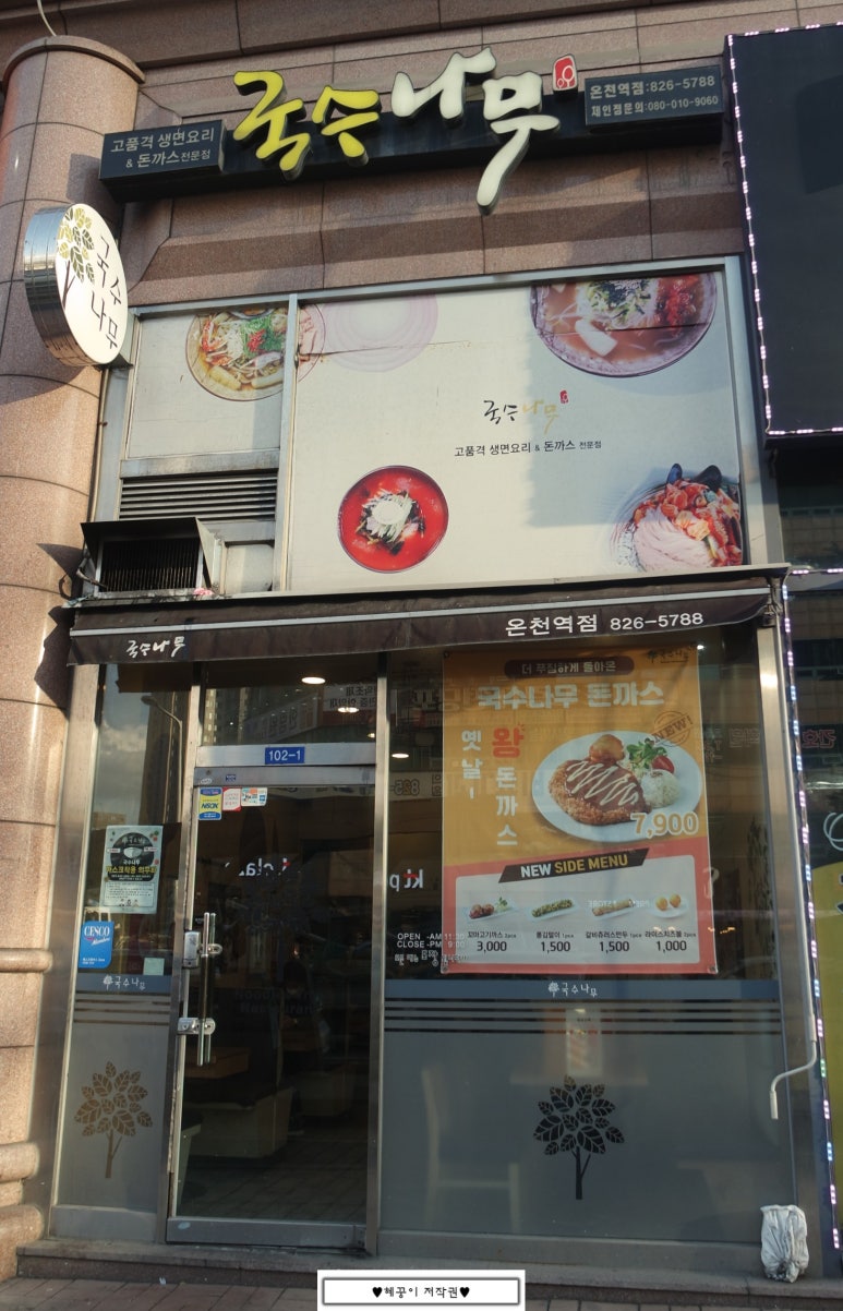 국수나무유성 이미지