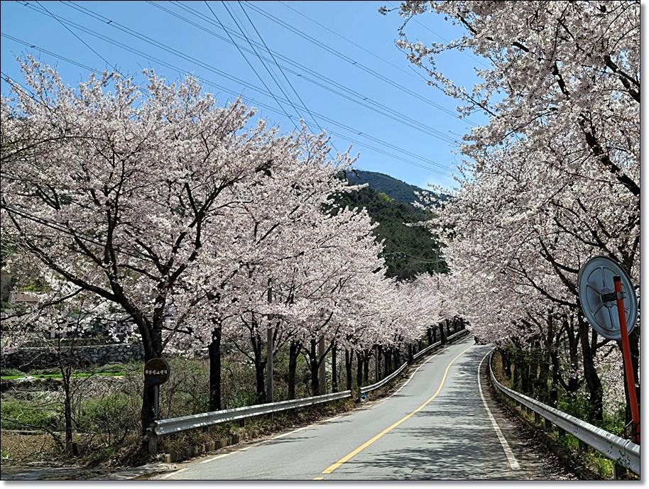 플라스카 이미지