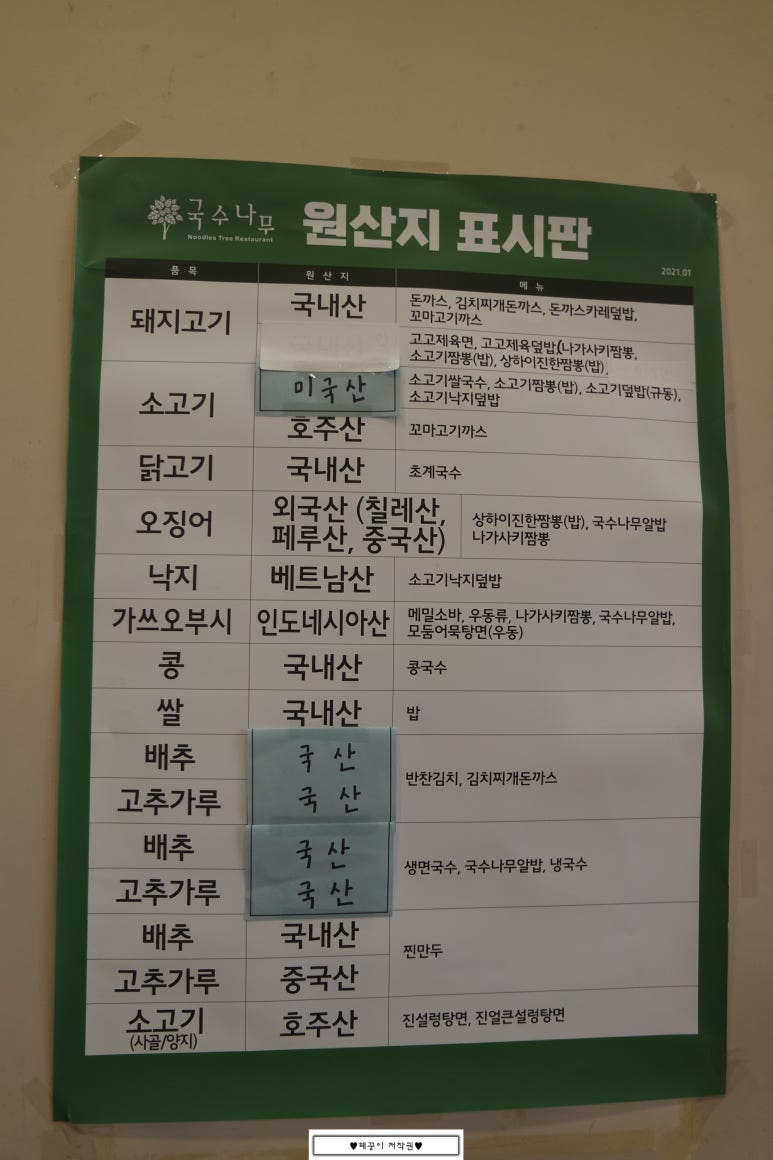 국수나무유성 이미지