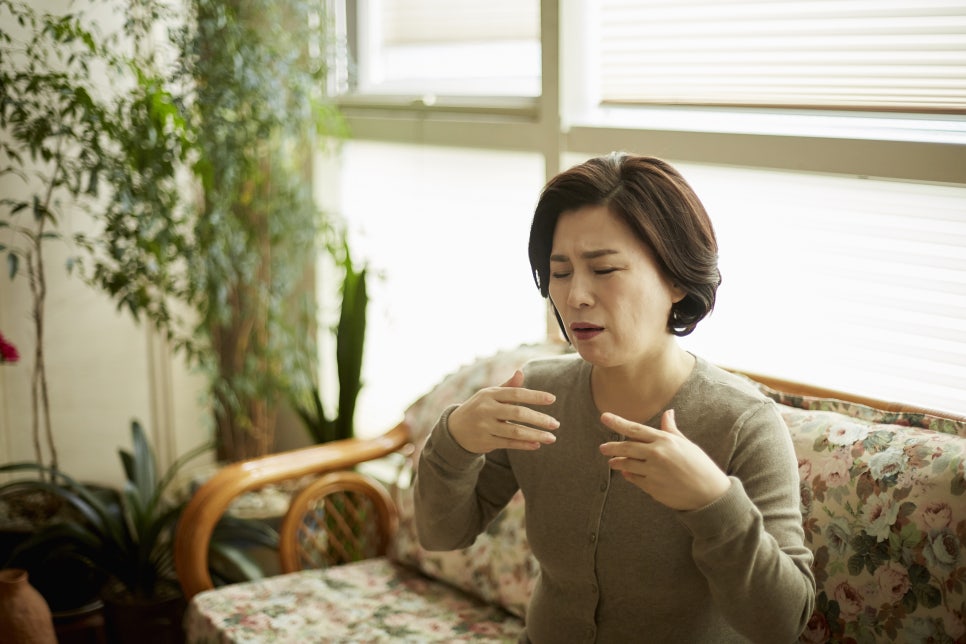 체담한방병원 이미지