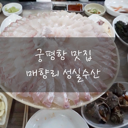성실수산 이미지