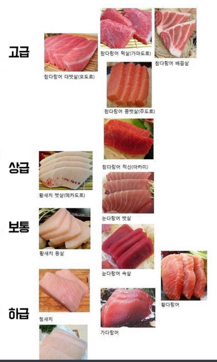 참치라이더 이미지