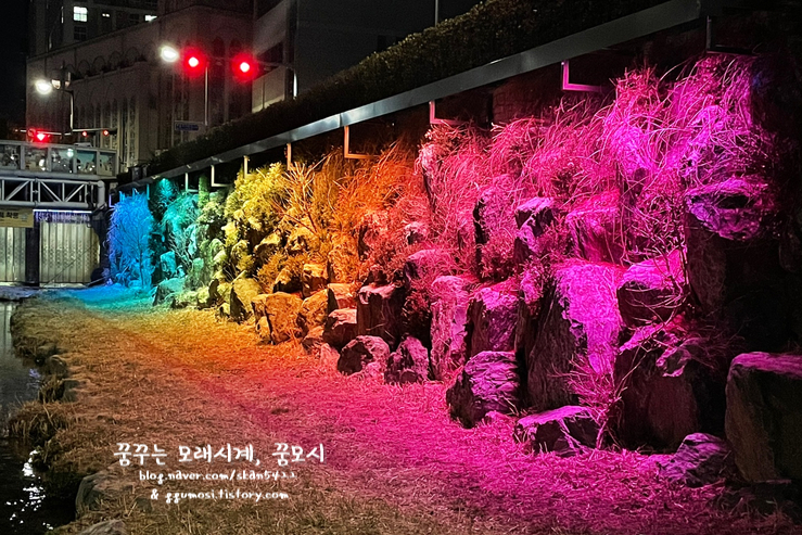 족발야시장부천 이미지