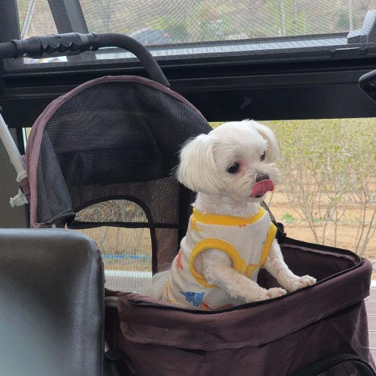 피자풋치킨 이미지