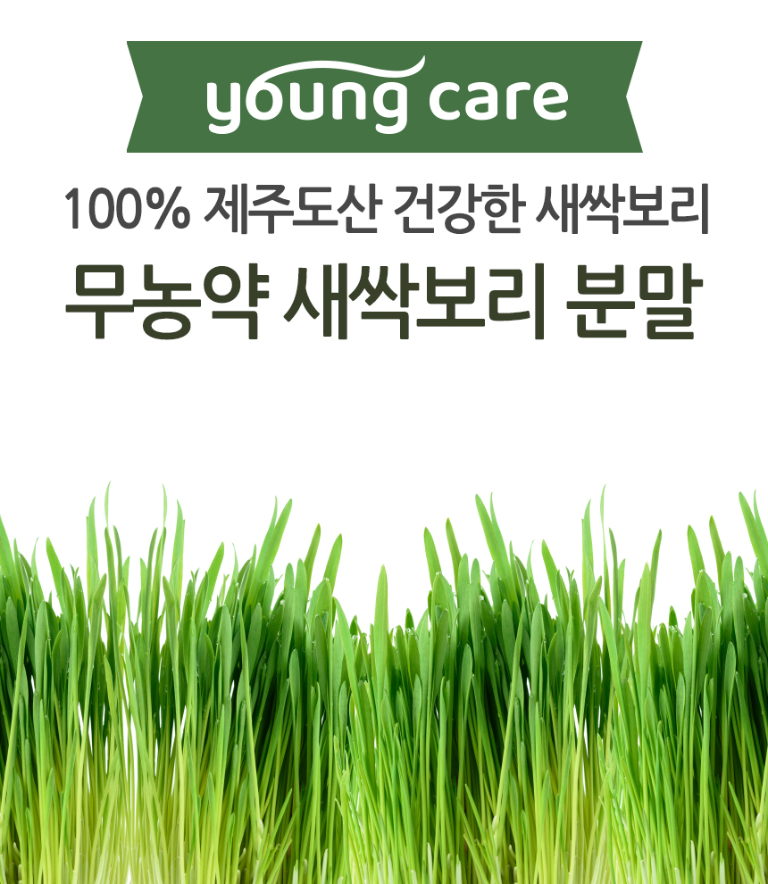 건강한 새싹 이미지
