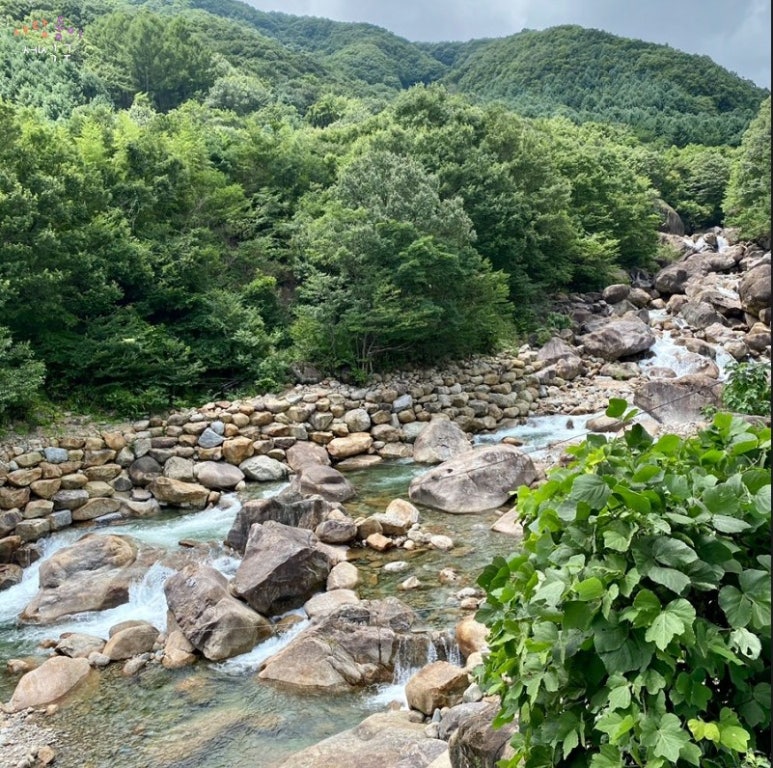 토종숯불구이 이미지