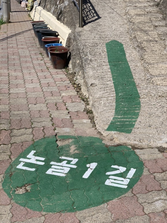 대우칼국수 이미지