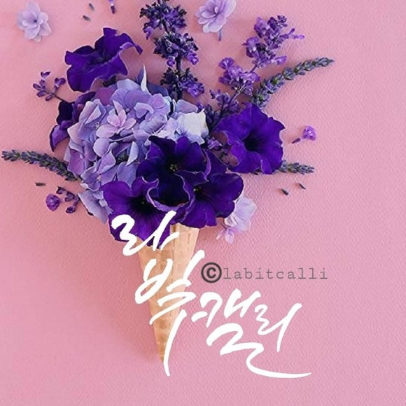 라빛 이미지