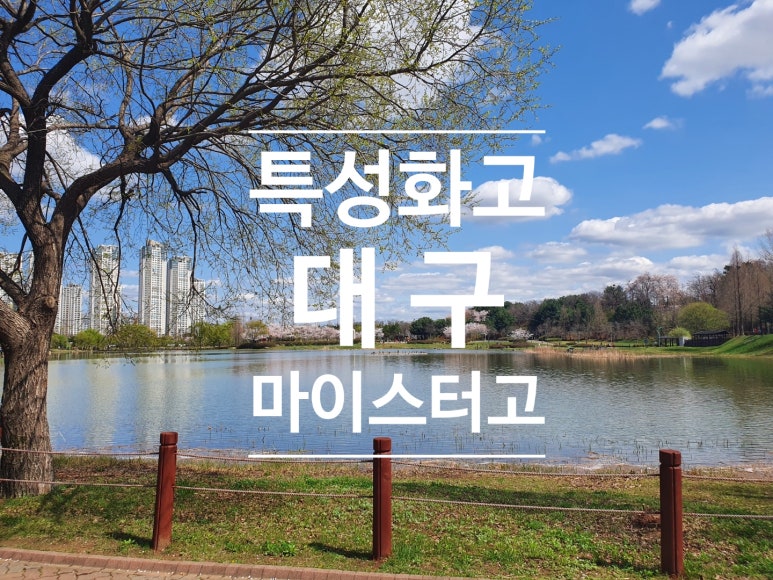 대구 특성화고등학교 ♥ : 네이버 블로그 대구 특성화고등학교 ♥ : 네이버 블로그