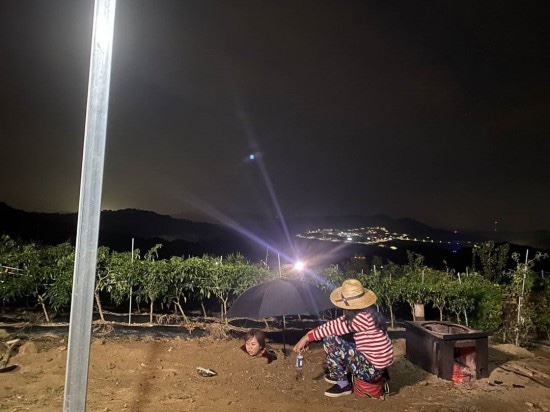 힐링드림협동조합 이미지