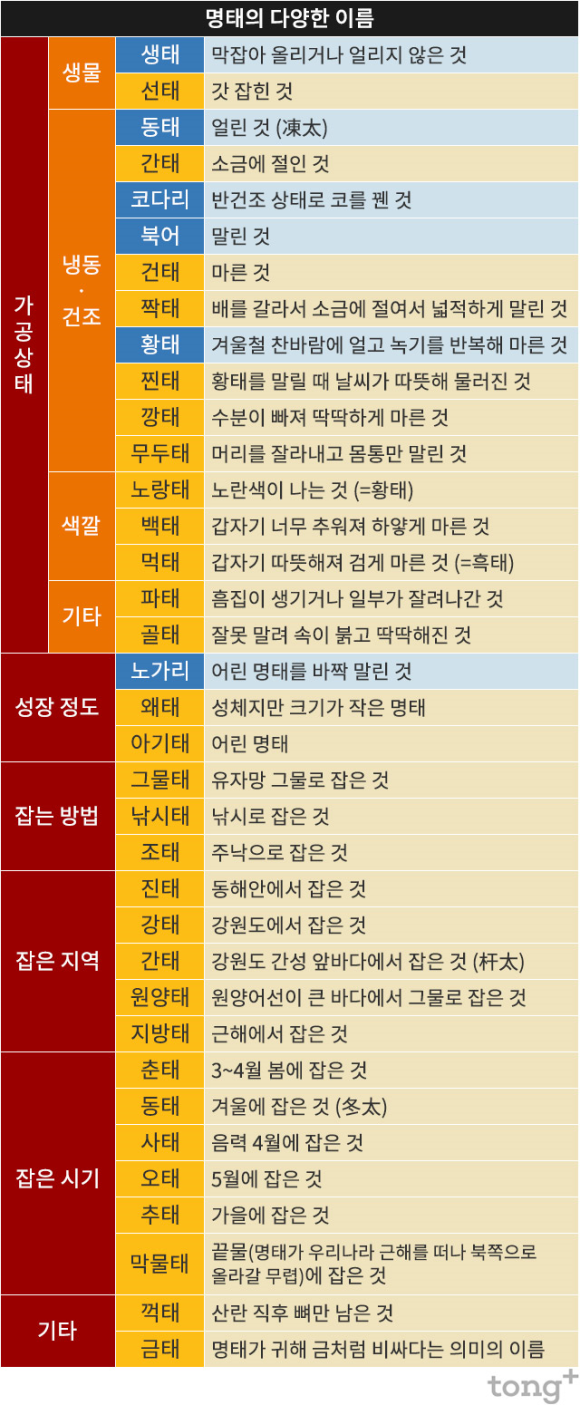 명태사랑 이미지