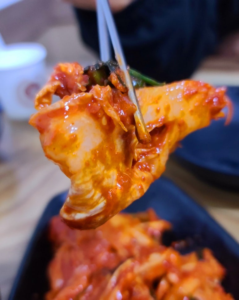 돌다리보쌈칼국수 이미지
