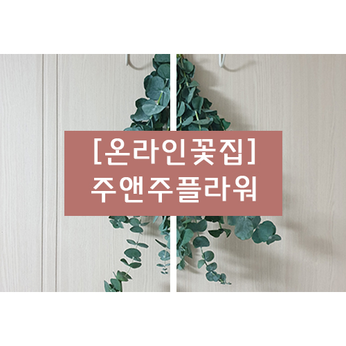 주앤주 이미지