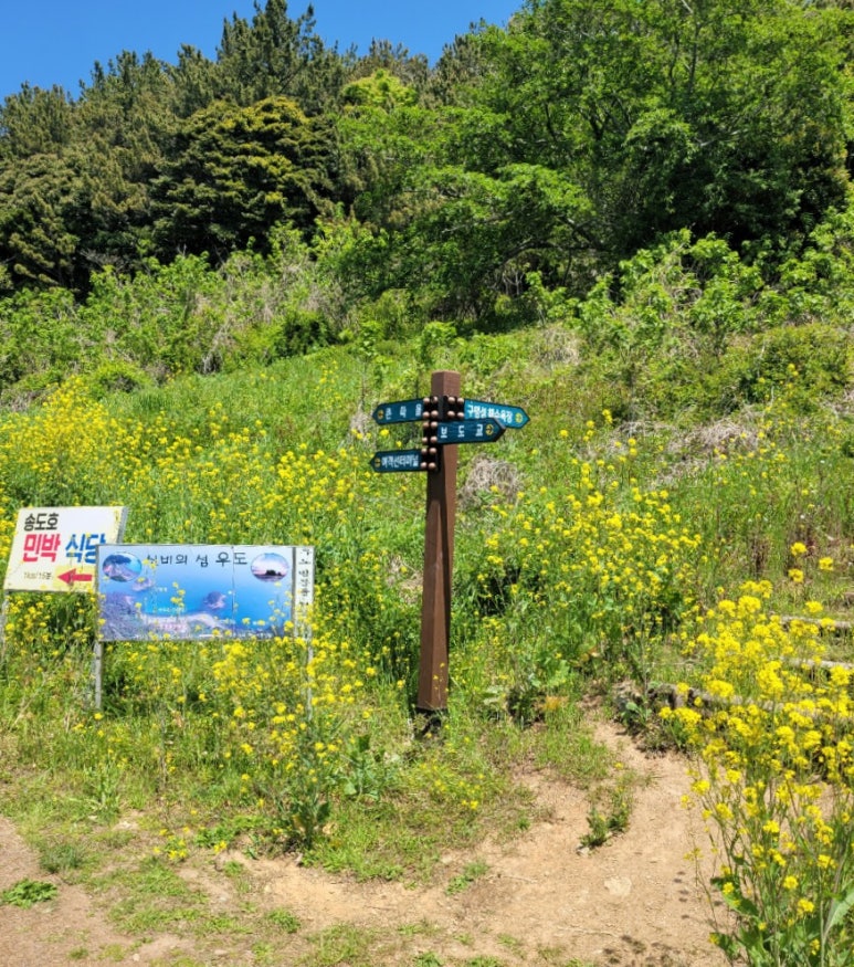 돔하우스민박 이미지