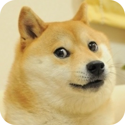 도지(DOGE) 이미지
