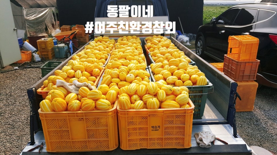 동팔이네 이미지