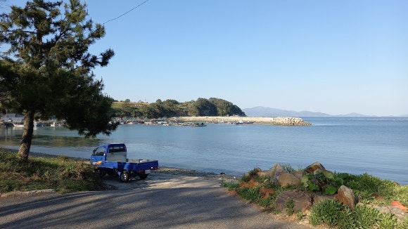 돌산계동뼈꼬시 이미지