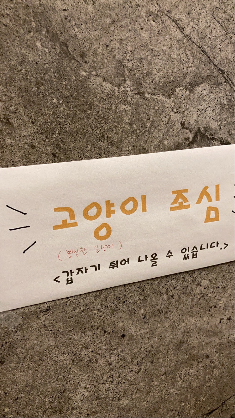 미드유 이미지