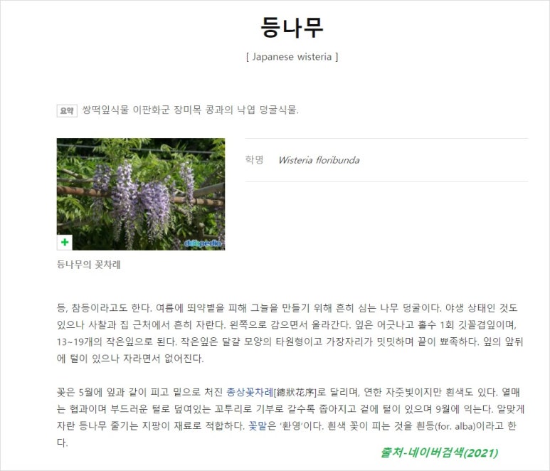 어느날;꽃이피다 이미지